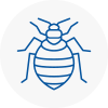 Bed Bug Extermination In Wyrley