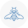 Bee Nest Removal Wyrley