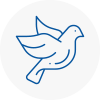 Bird Prevention Wyrley