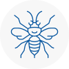 Wyrley Hornet Nest Removals