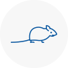 Mice Exterminators In Wyrley