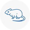 Rat Control Wyrley