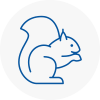 Wyrley Rodent Removals